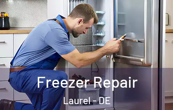  Freezer Repair Laurel - DE