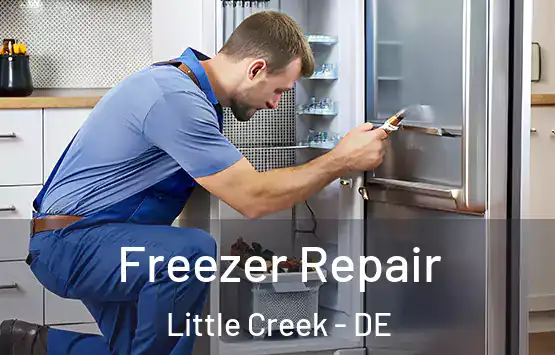  Freezer Repair Little Creek - DE