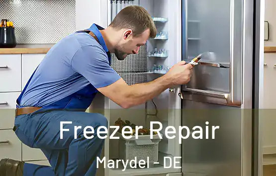  Freezer Repair Marydel - DE