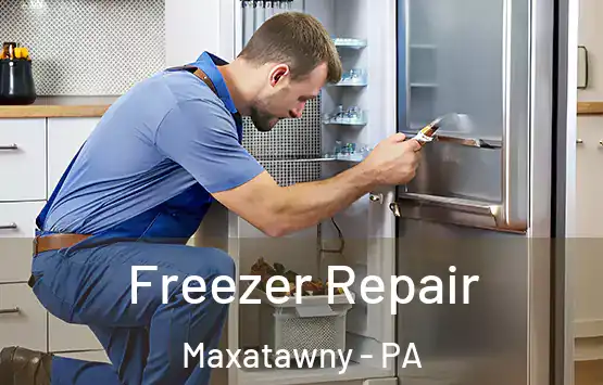  Freezer Repair Maxatawny - PA
