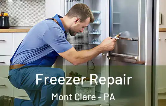  Freezer Repair Mont Clare - PA