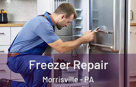  Freezer Repair Morrisville - PA