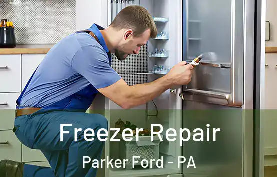  Freezer Repair Parker Ford - PA