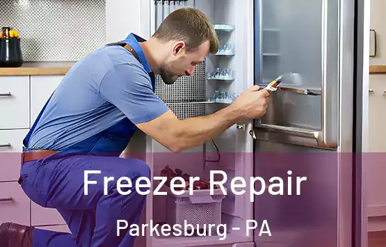  Freezer Repair Parkesburg - PA