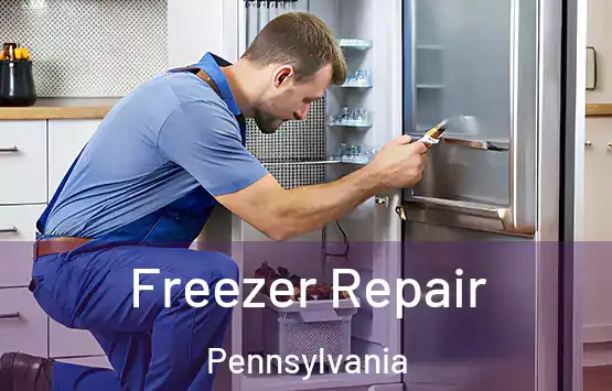  Freezer Repair Pennsylvania