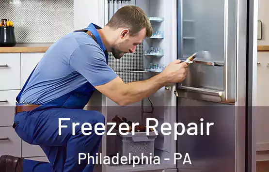  Freezer Repair Philadelphia - PA