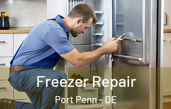  Freezer Repair Port Penn - DE