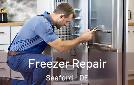  Freezer Repair Seaford - DE