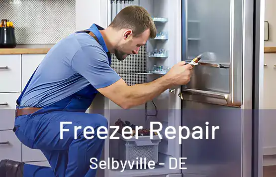  Freezer Repair Selbyville - DE