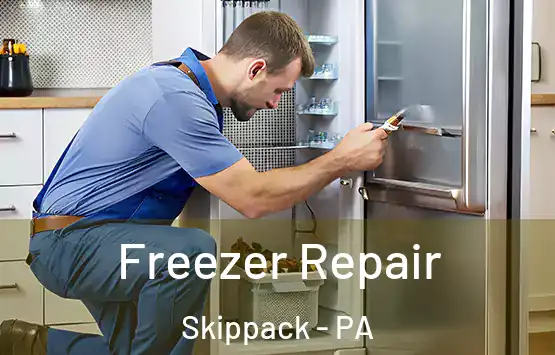  Freezer Repair Skippack - PA