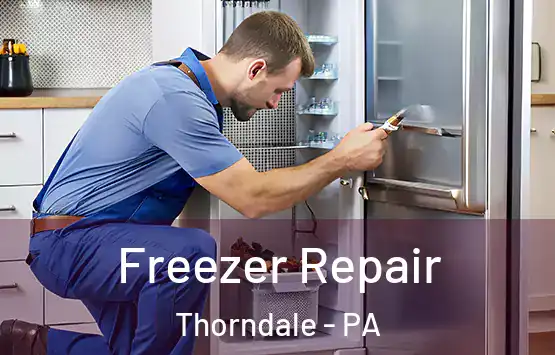  Freezer Repair Thorndale - PA