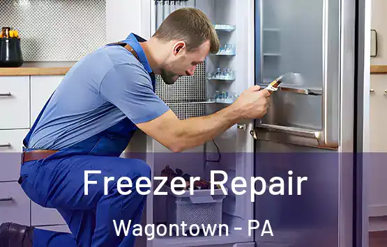  Freezer Repair Wagontown - PA