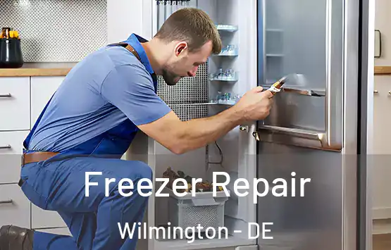  Freezer Repair Wilmington - DE