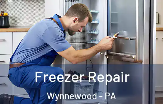  Freezer Repair Wynnewood - PA
