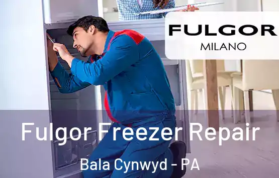  Fulgor Freezer Repair Bala Cynwyd - PA