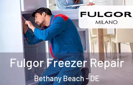  Fulgor Freezer Repair Bethany Beach - DE