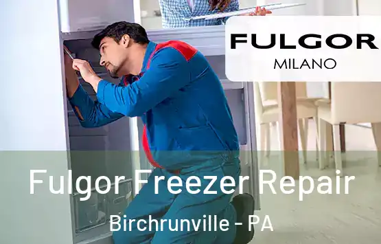  Fulgor Freezer Repair Birchrunville - PA