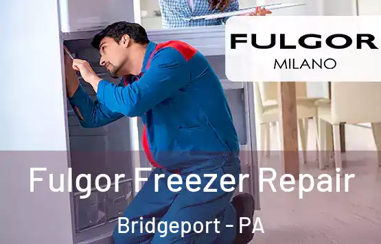  Fulgor Freezer Repair Bridgeport - PA