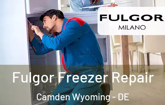  Fulgor Freezer Repair Camden Wyoming - DE