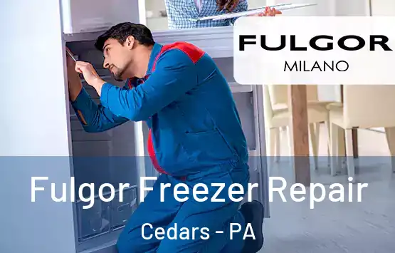  Fulgor Freezer Repair Cedars - PA