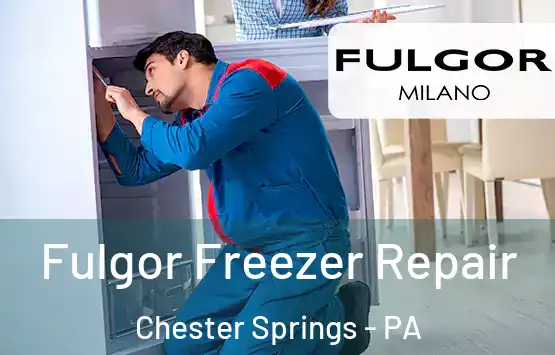  Fulgor Freezer Repair Chester Springs - PA