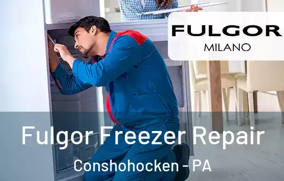  Fulgor Freezer Repair Conshohocken - PA
