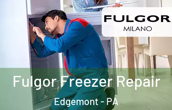  Fulgor Freezer Repair Edgemont - PA