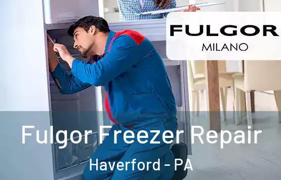  Fulgor Freezer Repair Haverford - PA