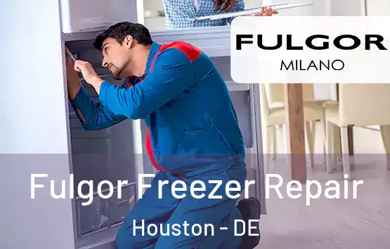  Fulgor Freezer Repair Houston - DE