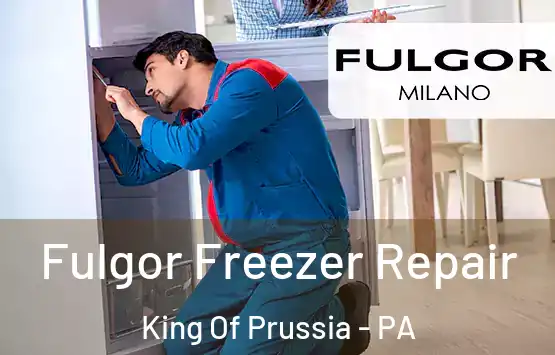  Fulgor Freezer Repair King Of Prussia - PA