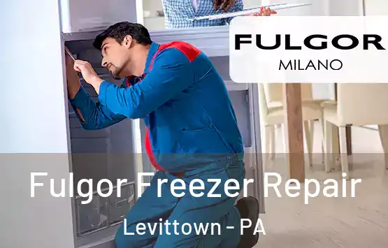  Fulgor Freezer Repair Levittown - PA