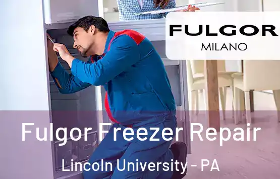  Fulgor Freezer Repair Lincoln University - PA