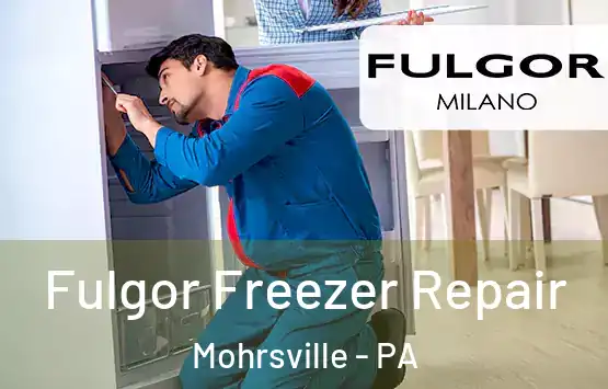  Fulgor Freezer Repair Mohrsville - PA