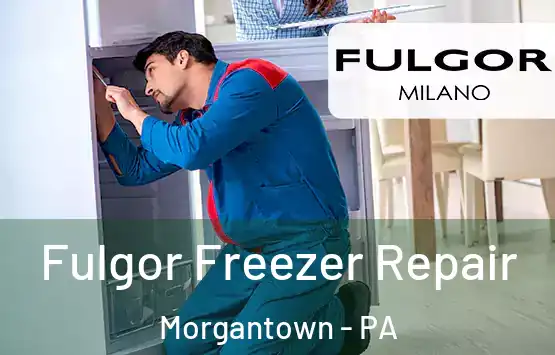  Fulgor Freezer Repair Morgantown - PA