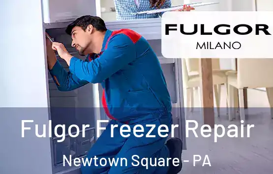  Fulgor Freezer Repair Newtown Square - PA
