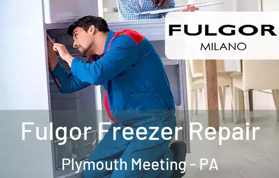  Fulgor Freezer Repair Plymouth Meeting - PA