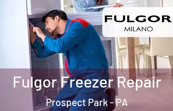  Fulgor Freezer Repair Prospect Park - PA
