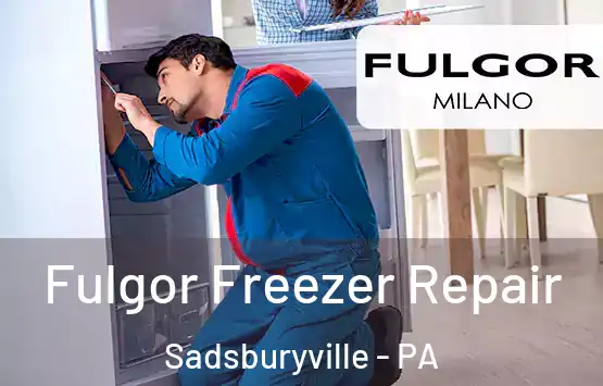  Fulgor Freezer Repair Sadsburyville - PA