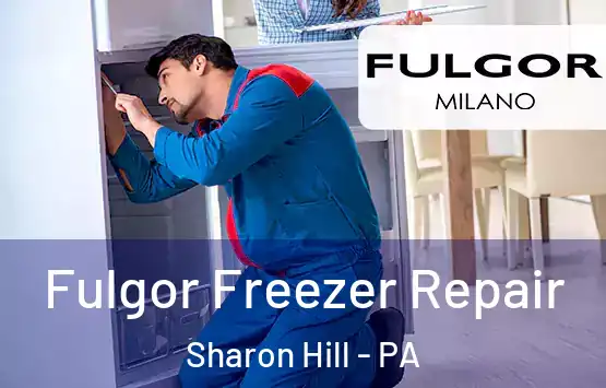  Fulgor Freezer Repair Sharon Hill - PA