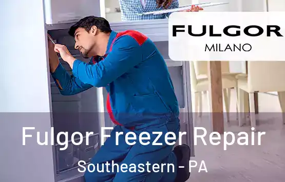  Fulgor Freezer Repair Southeastern - PA