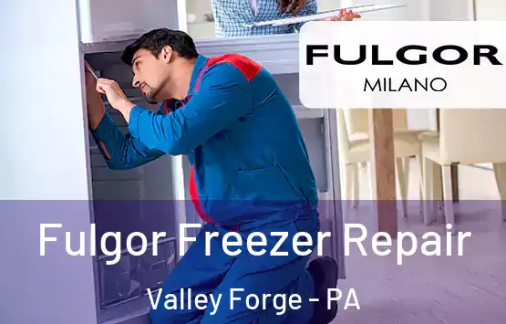  Fulgor Freezer Repair Valley Forge - PA
