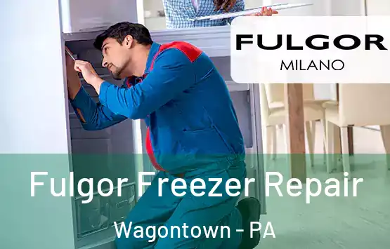  Fulgor Freezer Repair Wagontown - PA