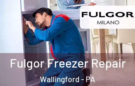 Fulgor Freezer Repair Wallingford - PA