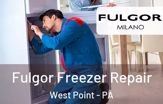  Fulgor Freezer Repair West Point - PA