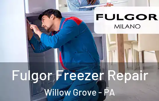  Fulgor Freezer Repair Willow Grove - PA