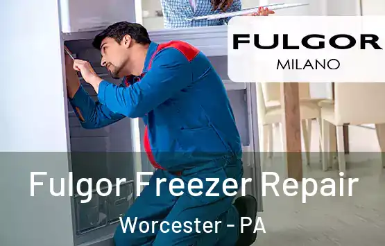 Fulgor Freezer Repair Worcester - PA
