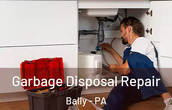  Garbage Disposal Repair Bally - PA