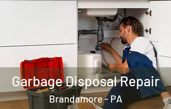  Garbage Disposal Repair Brandamore - PA