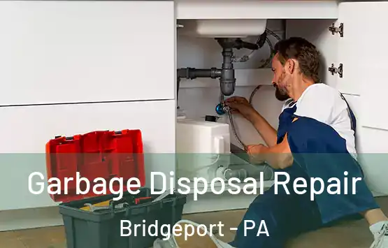  Garbage Disposal Repair Bridgeport - PA
