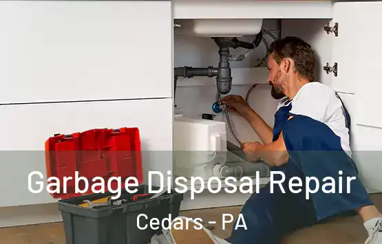  Garbage Disposal Repair Cedars - PA